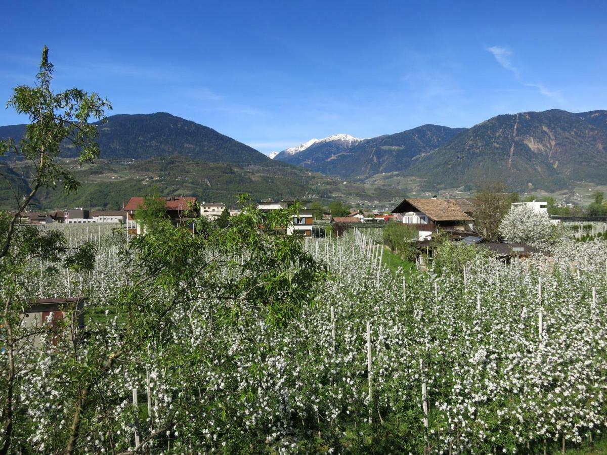 Apartament Feldererhof Postal / Burgstall Zewnętrze zdjęcie